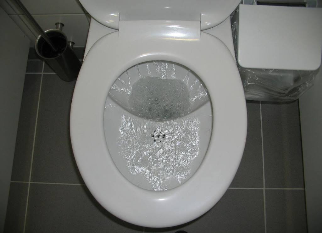 Causes of a toilet clog and how to fix it