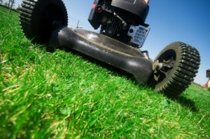 lawn mowing