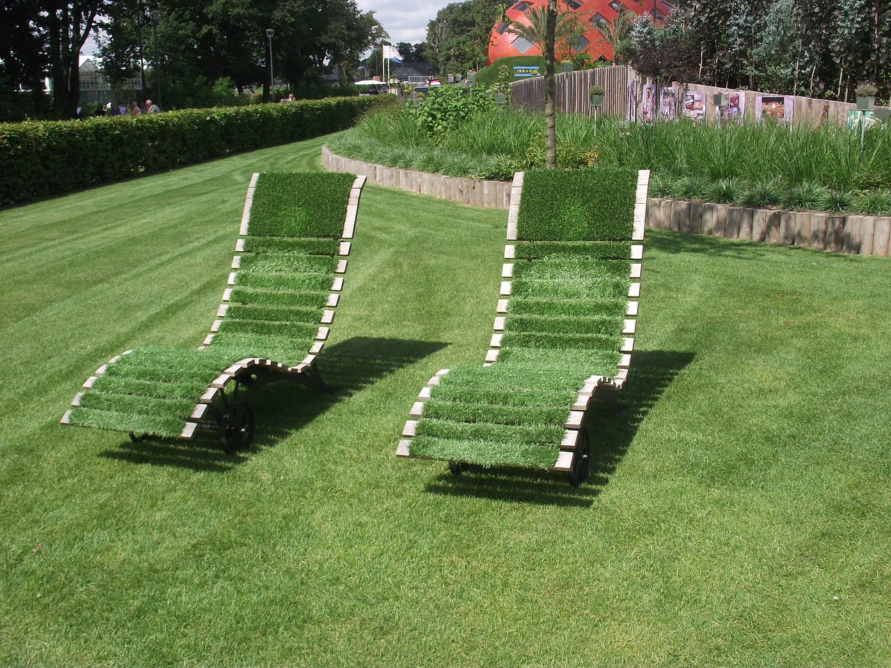 Why You Need to Have Turf Grass in Your Home