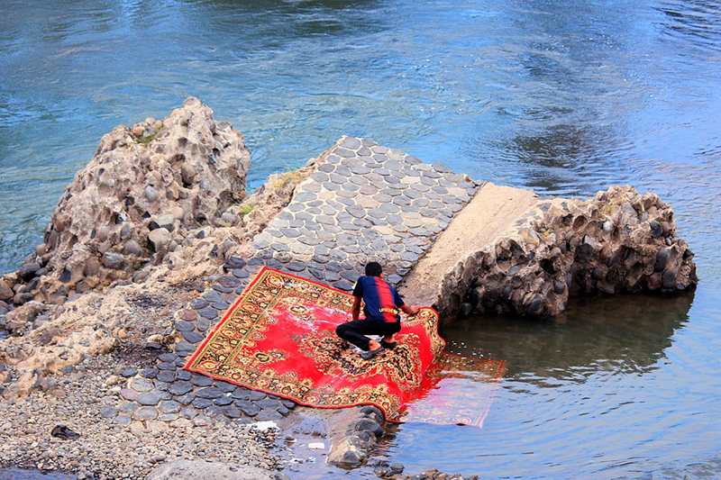 cleaning the carpet